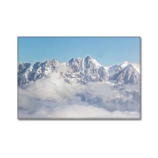 Leinwand „Kaiser Winter V“