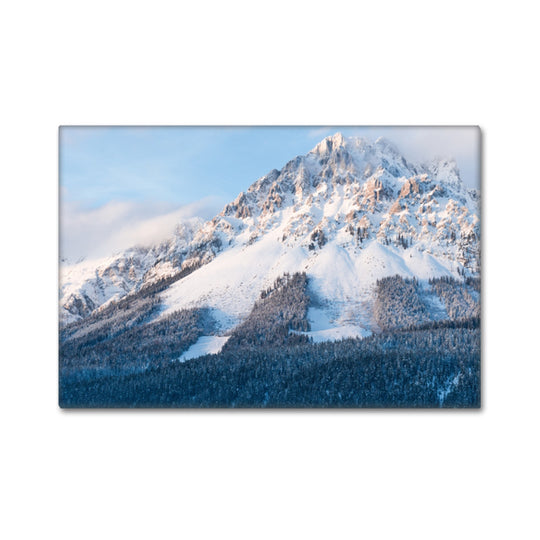 Leinwand „Kaiser Winter VI“